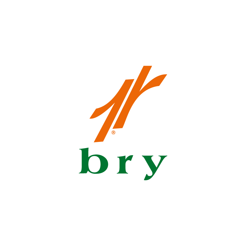 birey yayınları